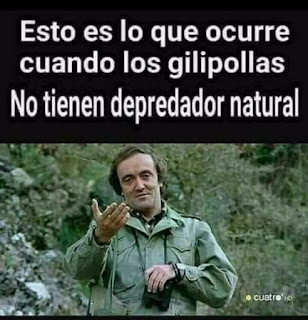 esto es lo que ocurre cuando los gilipollas no tienen depredador natural, 