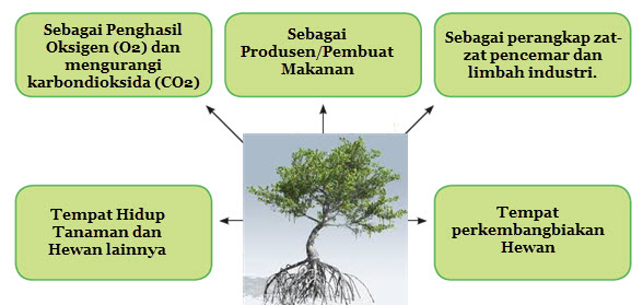  Tumbuhan sebagai Sumber Kehidupan Mikirbae