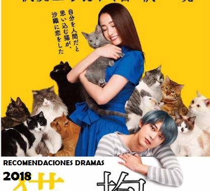 Doramas Sobrenaturales: Holding The Cat in Arms