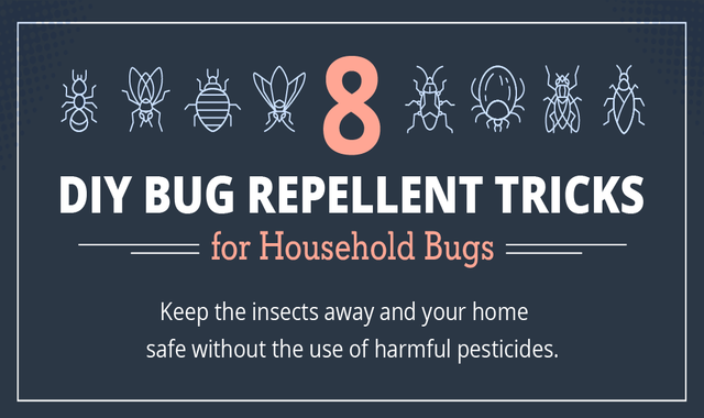 8 DIY Bug Repellent Tricks for Household Bugs 