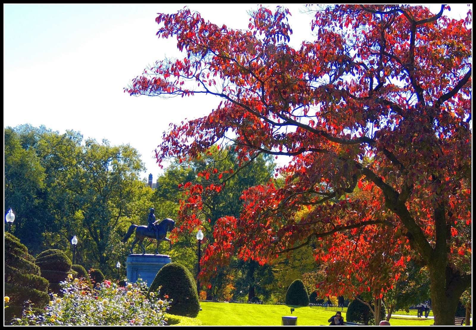 Boston Public Garden