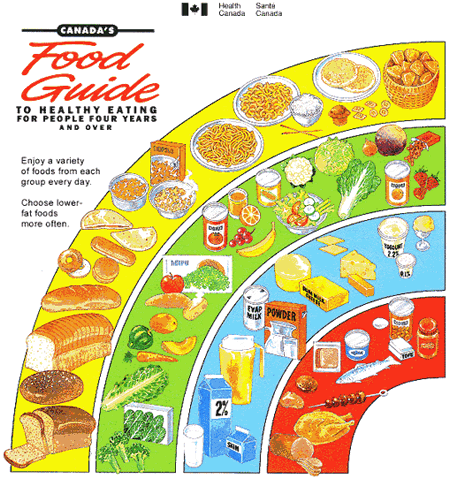 food pyramid for children. Food pyramid for kids