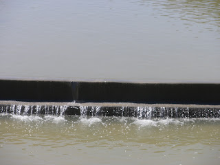 Parque detrás del cementerio Zaragoza