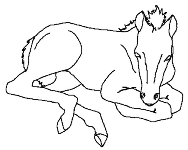 animal coloring pages