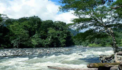 Taman Nasional Kerinci Seblat