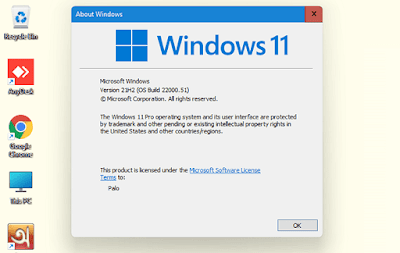Windows 11 Version View