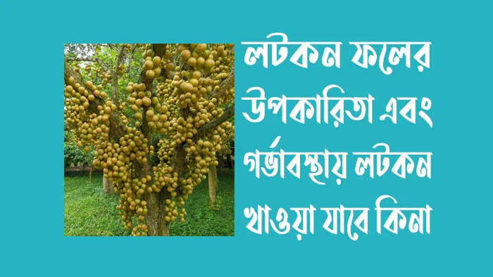 লটকন ফল