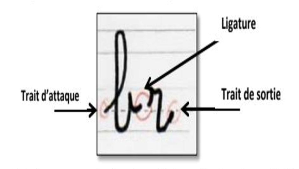 Les ligatures……Qu’est-ce qu’une ligature ?