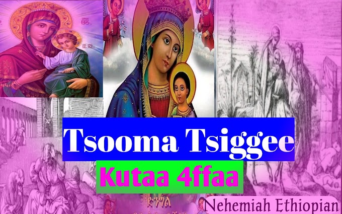 Tsooma Tsiggee | Kutaa 4ffaa 