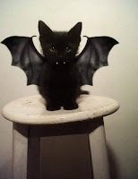 ideas de disfraces de Halloween para gatos