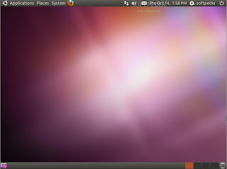 ubuntu 10.10 bojalinuxer