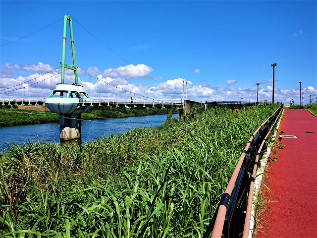 新川サイクリングコース　ゆらゆら橋