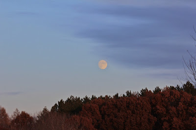 a full November moon