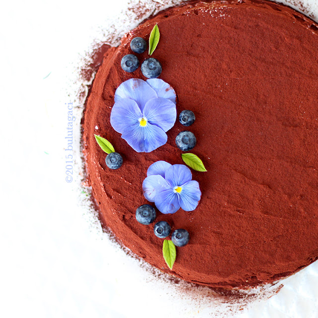 blueberry, nectarine, peach psitachio flourless chocolate nemesis cake
