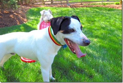 Easter 2009 193