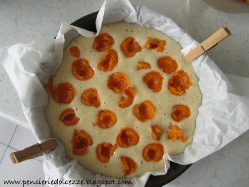 Torta Cocco Albicocche 1