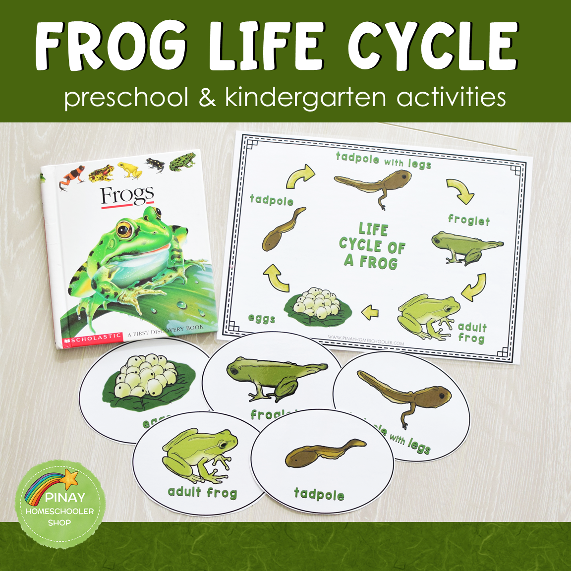 Life Cycle of a Frog Learning Activities