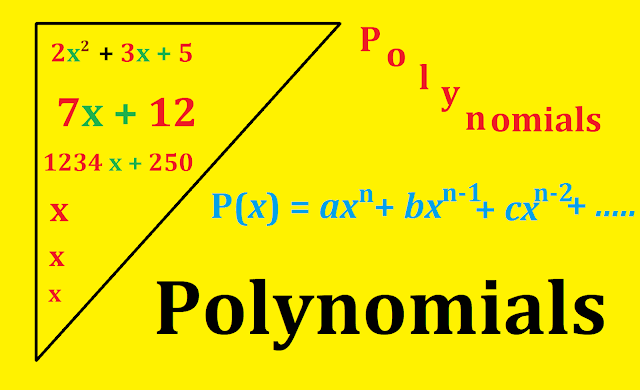 Polynomials Important Questions 
