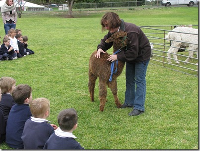 Narracorte Primary School _05