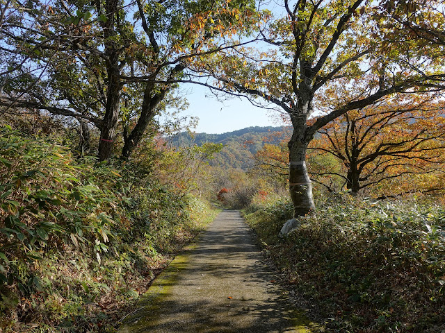 鳥取県東伯郡琴浦町の千丈滝展望駐車場から遊歩道を降ります