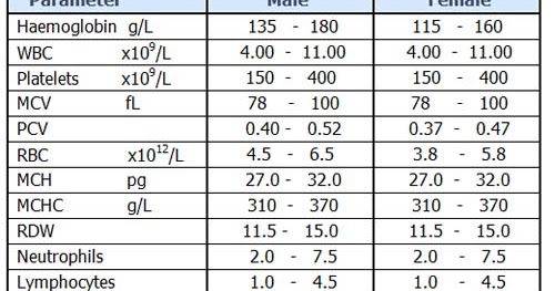 Full Blood Count Fbc Nurselk Com