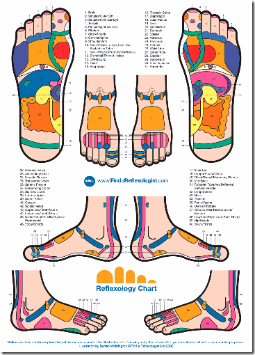 reflexology_foot_chart11