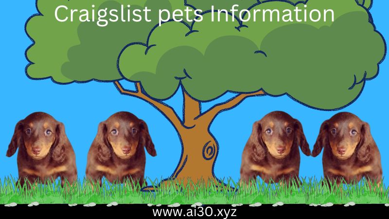 Craigslist pets Information