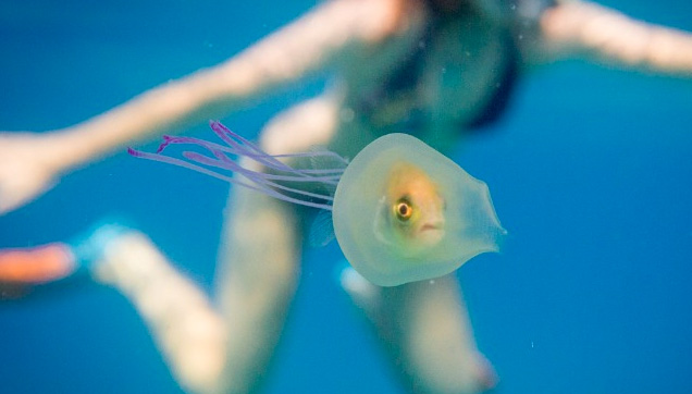 Image by ocean photographer Tim Samuel in Byron Bay, Australia.