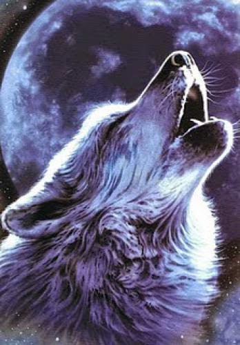 Wolf Protection Spell