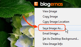 Cara Kompres Gambar di Situs JPEG Optimizer