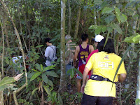 Single file through the jungle