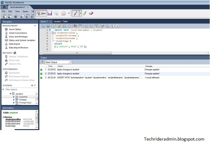 INSERT ,UPDATE and DELETE Query in MySQL Tech Rider