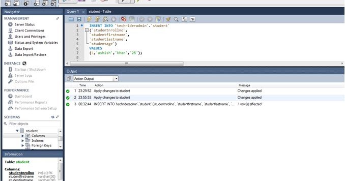 INSERT ,UPDATE and DELETE Query in MySQL Tech Rider