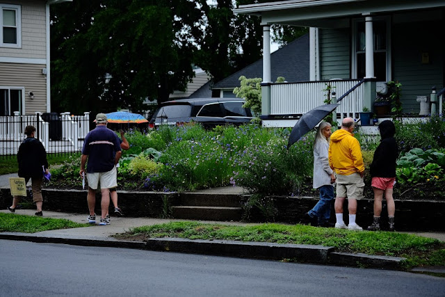 Edible Landscaping: replacing spent annual batchelor's Buttons