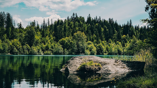 Lake, River, Forest, Trees, Stone, Grass