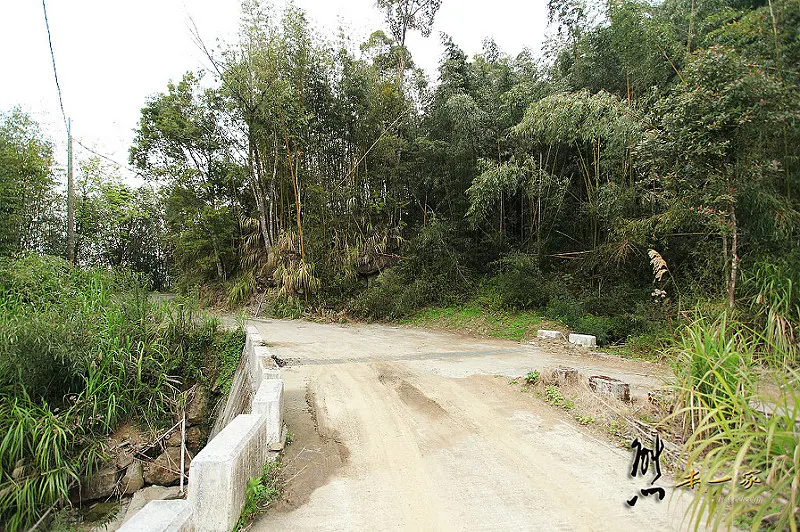 奮起湖石棹景點｜龍雲休閒農場森林步道｜鐵達尼石 五彩石