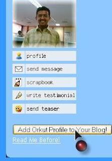 Orkut Blogger Widget (Unofficial)