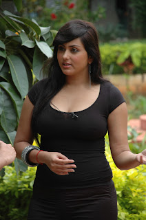 Namitha Sexy pictures, Namitha Hot stills