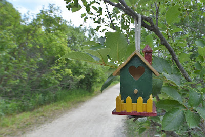 Bird house hanging over Harte Trail WInnipeg.