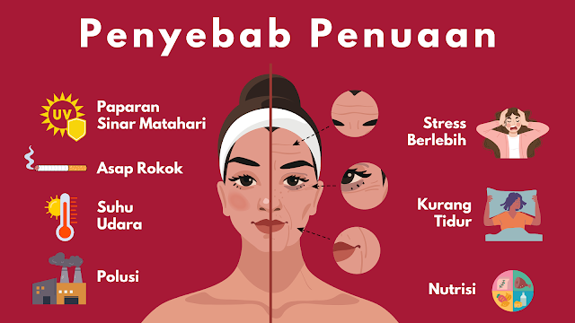 Penyebab Penuaan