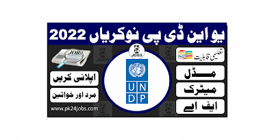 UNDP Jobs 2022 – Government Jobs 2022