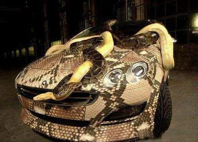 Snakeskin car (3) 1