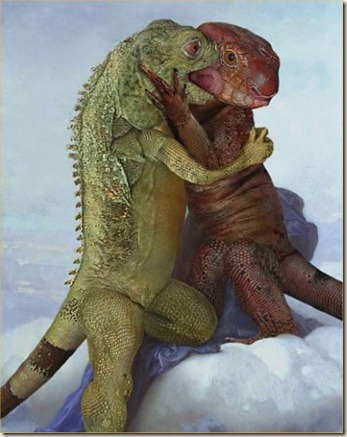 lizards-in-love