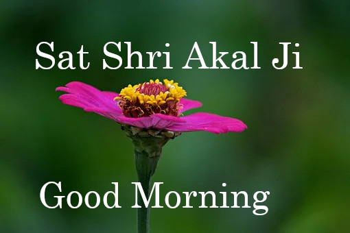 Sat Shri Akal Ji Good Morning