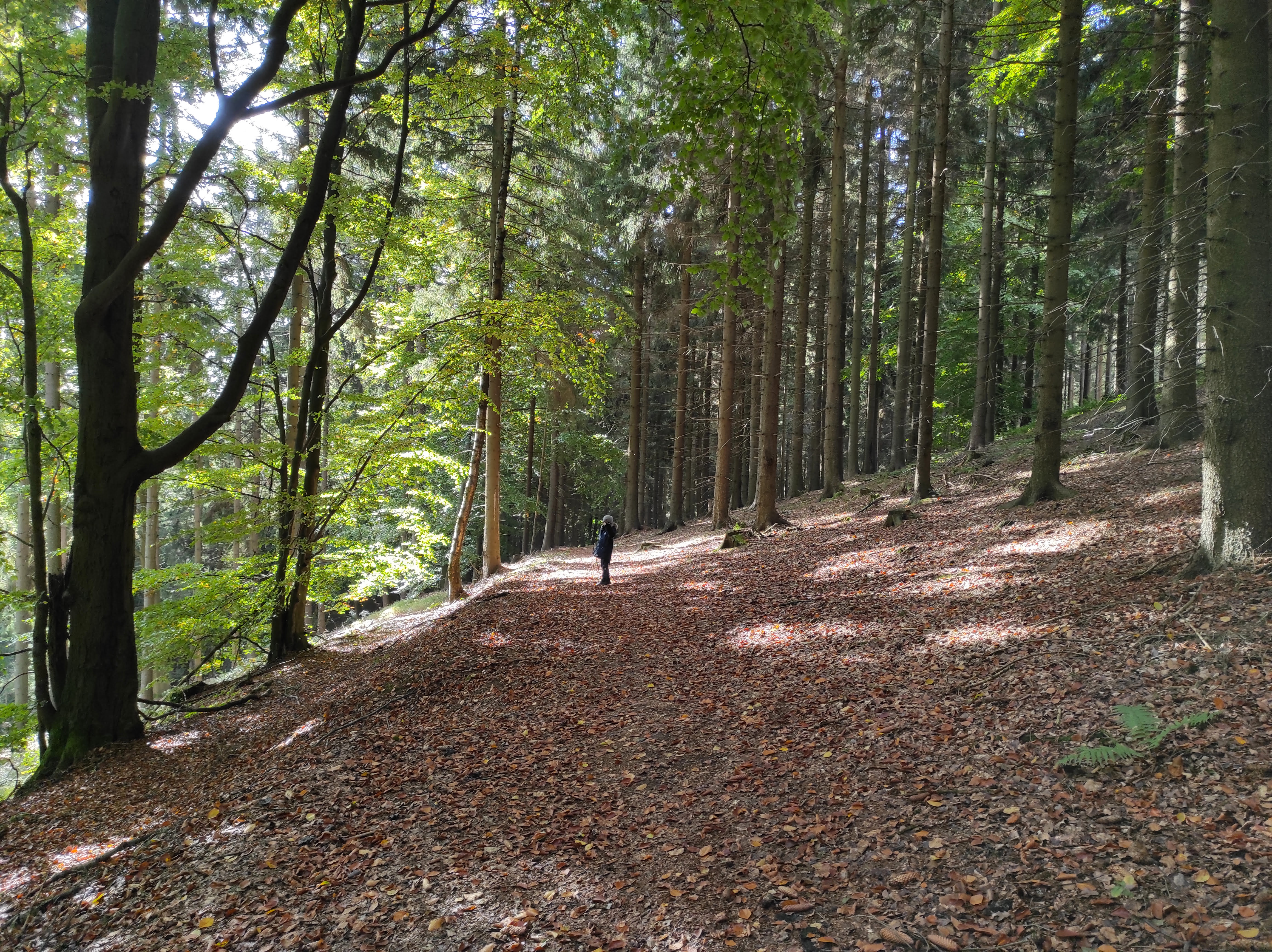 Góry Stołowe, pasmo Zawory