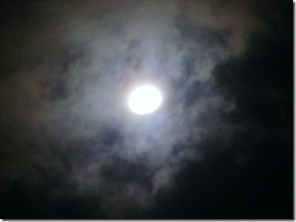 DSCF6664