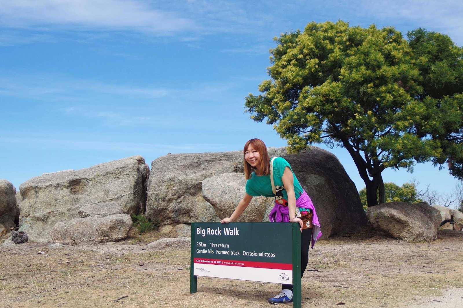 Big Rock You Yangs