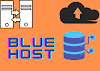 Best Web Hosting (BlueHost Review)