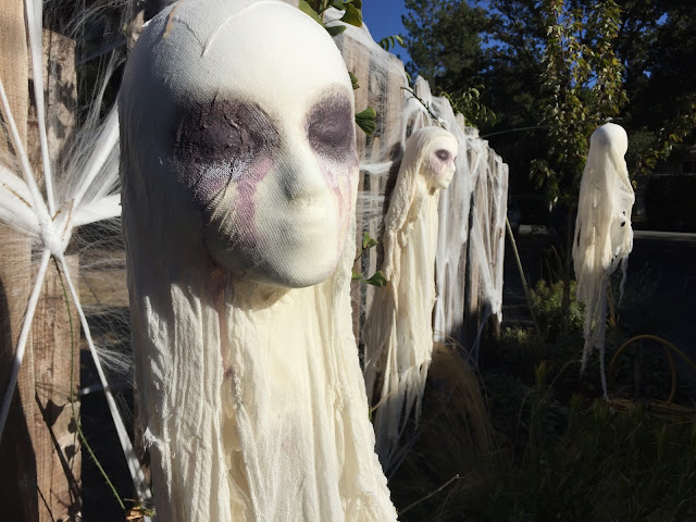 cheesecloth ghost