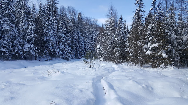 Sur le sentier de la Matawinie